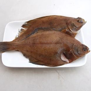 大连新鲜偏口鱼 比目鱼 大偏口鱼速冻锁鲜发货 煎炸烤炖都适