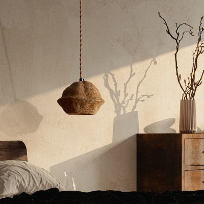 【纯自然氛围感】果壳吊灯