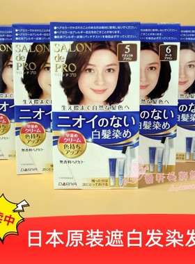 日本Dariya塔丽雅Salon de PRO白发专用无味染发剂/膏 多色选黑色