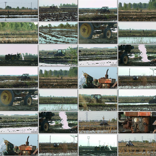 北方春耕农业农田农耕地种植种地插秧犁地水田4K原创商用视频素材