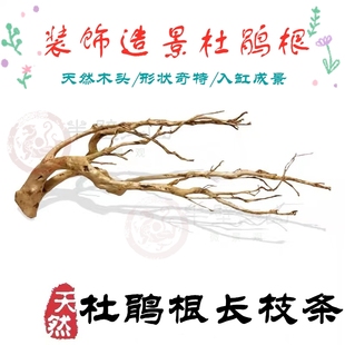天然杜鹃根枝条 龙须根细枝 草缸南美缸 修饰树枝 微景观造景藤条