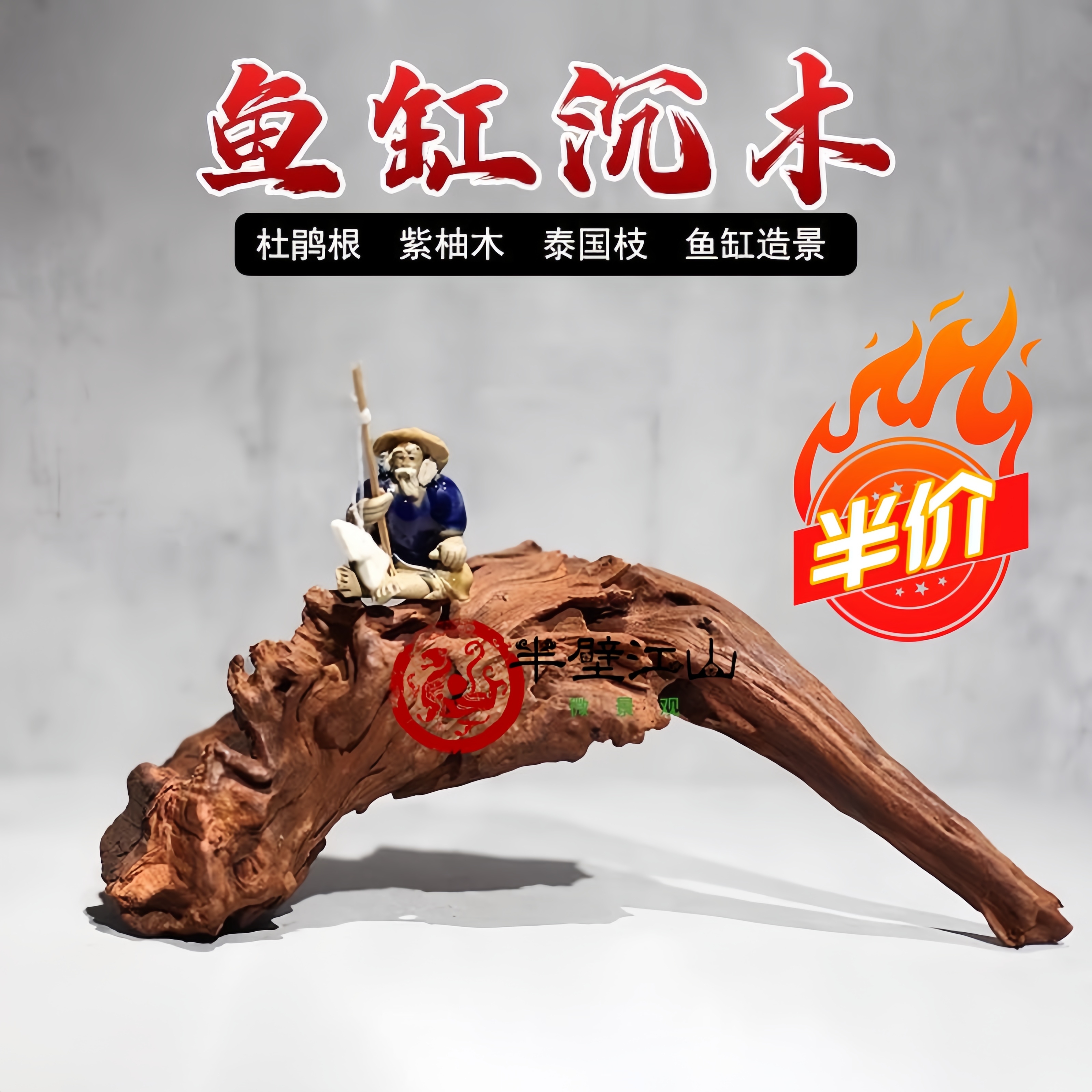 装饰鱼缸小号天然新手造景