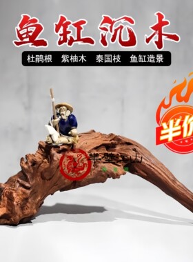 装饰鱼缸小号天然新手造景