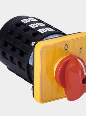 旋转开关SZW98-16/C06.3