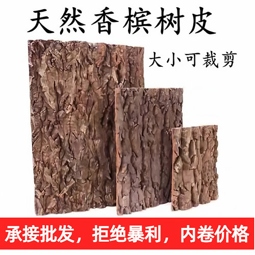 香槟树皮 雨林生态缸背景板 爬宠躲避树皮  洋兰造景树皮不腐烂