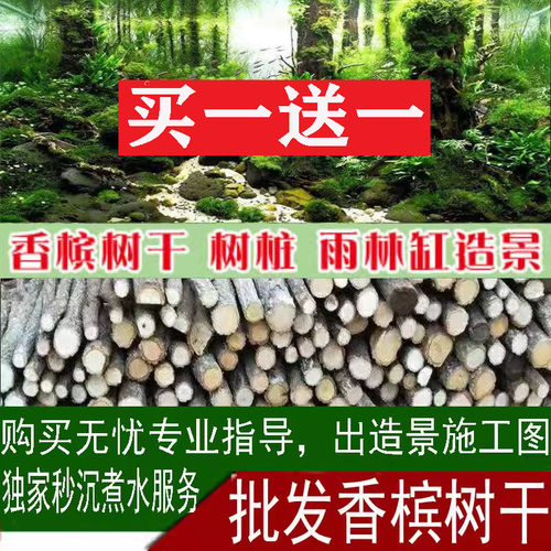 香槟树干 森林造景沉木树桩 水草缸鱼缸爬虫爬宠造景木 乌龟晒台