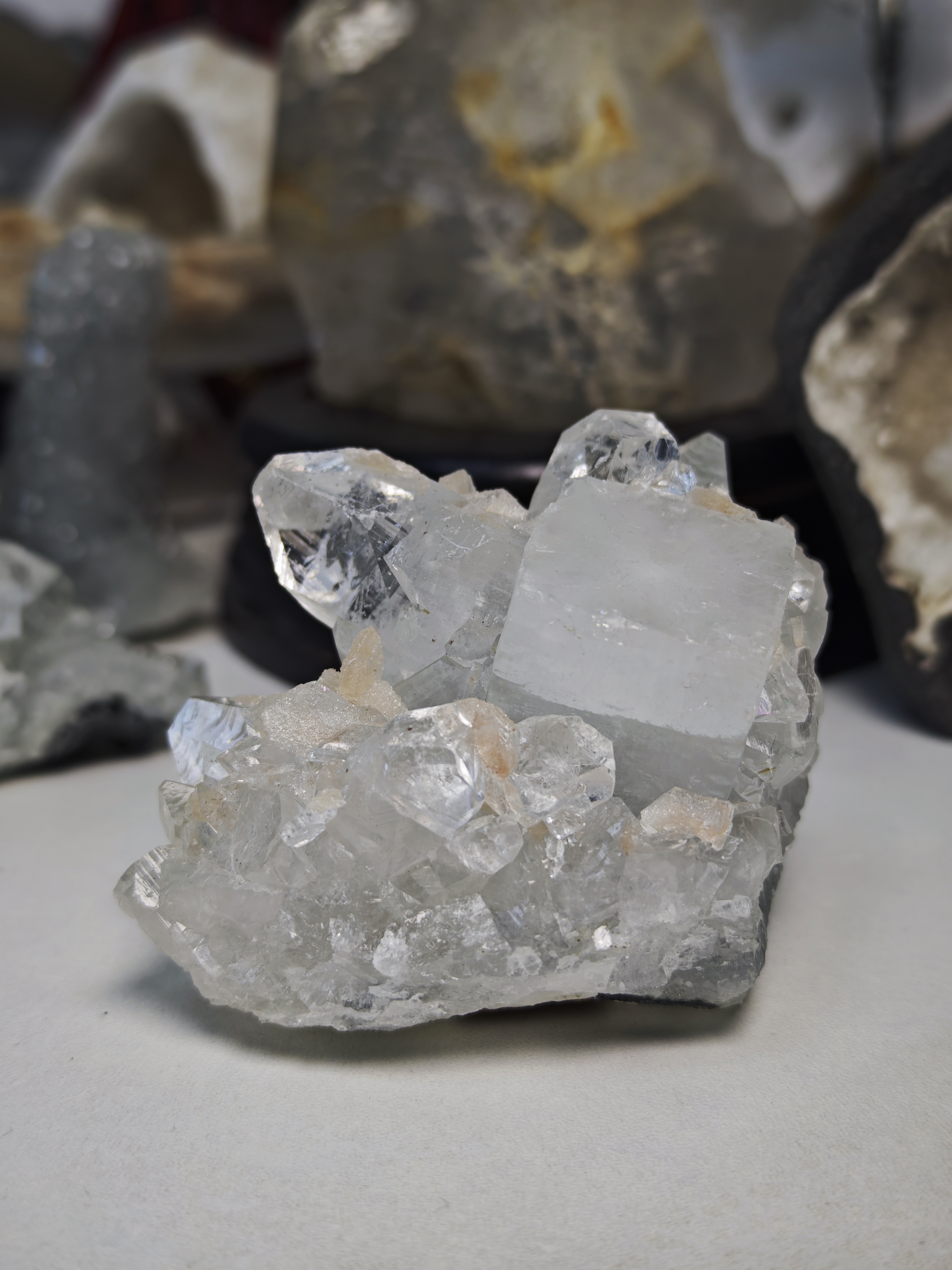 《指引》钻闪级印度鱼眼208g