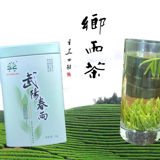 新春茶乡雨高山绿茶有机茶之乡出