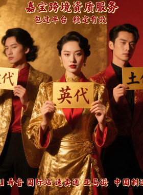 欧代英代美代土代 temu 希音 阿里国际站 速卖通 亚马逊 Tk商务