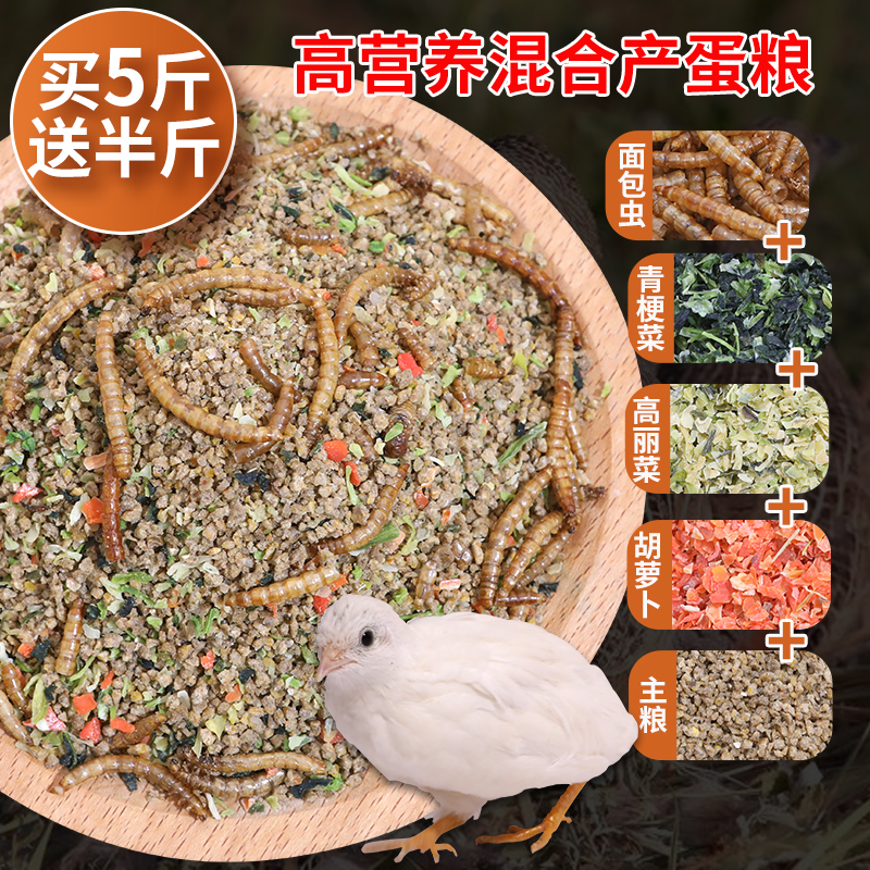 优贝斯芦丁鸡饲料鸡饲料厂家直销