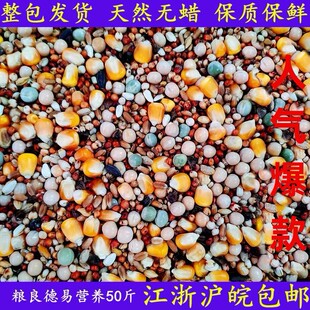 粮良德易A级鸽粮有玉米营养赛飞食粮饲料赛鸽信鸽子鸽料50斤粮食