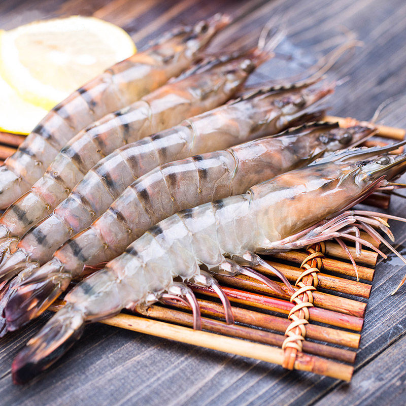 东山岛沈船长海鲜鲜活虾大虾大斑节虾大黑虎虾大九节虾10只/斤装