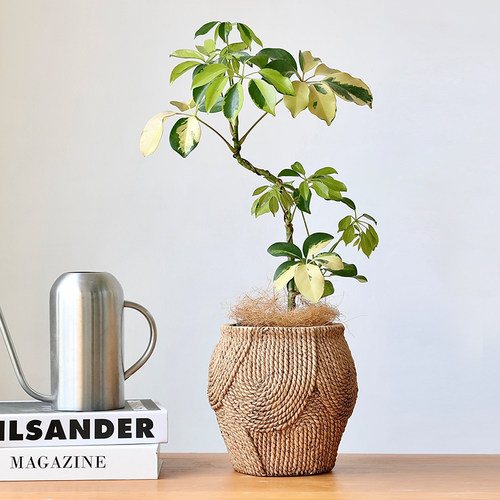 外贸出口创意仿编织高花盆流泉枫家居好物办公室粗陶套盆草编藤编