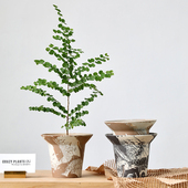 君子兰陶瓷透气花盆陶盆兰花粗陶陶土植物黑色高脚红陶网红侘寂风