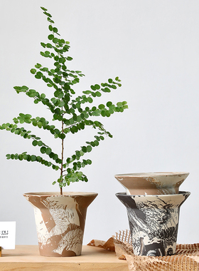 君子兰陶瓷透气花盆陶盆兰花粗陶陶土植物黑色高脚红陶网红侘寂风