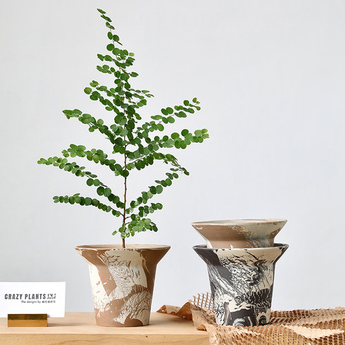 君子兰陶瓷透气花盆陶盆兰花粗陶陶土植物黑色高脚红陶网红侘寂风