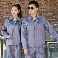 Серо-серой однок