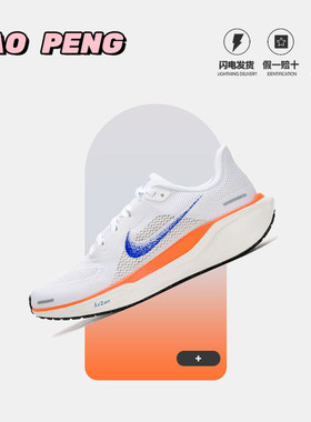 Nike耐克男鞋AIR ZOOM PEGASUS 飞马41透气缓震运动跑步鞋HF0013