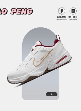 Nike/耐克 AIR Monarch 蛇年老爹鞋生活休闲运动跑步鞋IB4607-171