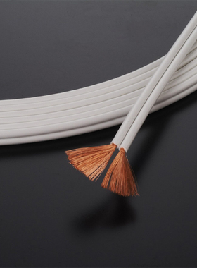 日本AET EVO-F125S F200优质原矿无氧铜导体音响喇叭连接线