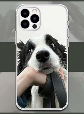 可爱边牧手机壳适用于iPhone17pro/17Air苹果16/15/15proOPPOreno14/真我Q3S华为p70/Nova9seVIVO小米15三星