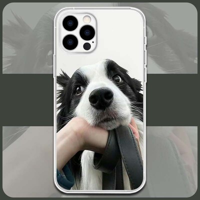 可爱边牧手机壳适用于iPhone17pro/17Air苹果16/15/15proOPPOreno14/真我Q3S华为p70/Nova9seVIVO小米15三星