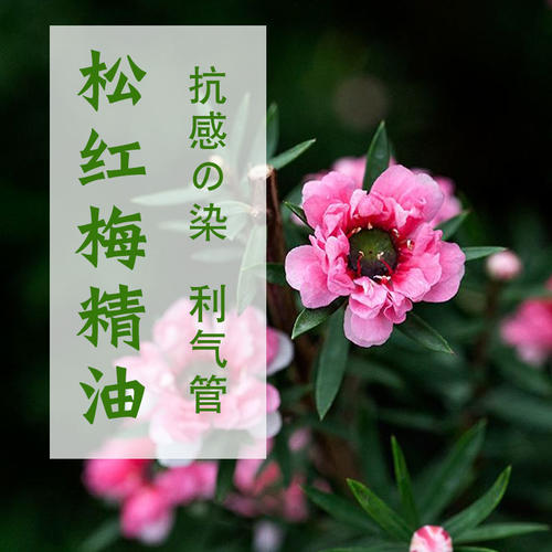 精油保养愈合伤口熏香