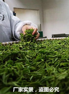 时会堂茗茶扬州特产26年绿杨春新绿茶叶仪征捺山办公简装口粮茶