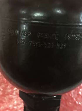 奥莱尔OLAER V0，32L PS  210BAR PT 315BAR TS-10/+120  V0.32L