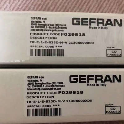 杰佛伦GEFRAN温度传感器TK-E-1-E-B25D-M-V 2130X000X00 F029818