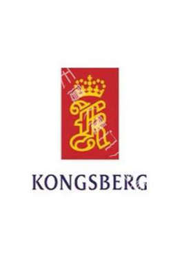 KONGSBERG 主机遥控 158S236K100温度传感器NICr/NIAl PO709347MB