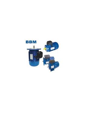 进口BBM铝壳电机 意大利BBM减速机 意大利进口B&M马达BM80B4询价