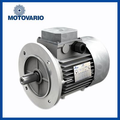 供应DRDRIVES三相异步交流电机TS100LA2 3KW 三相异步进口马询价