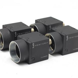 Grey 1394B Flea2 03S2M 黑白CCD工业相机询价 FL2 灰点Point