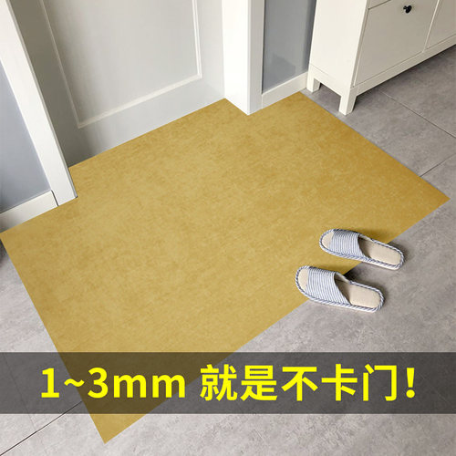 超薄入户门进门高档家用客厅地垫