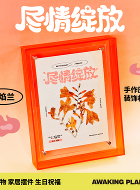 火焰兰压花手作相框装饰画创意工位桌面摆件入职毕业生日祝福礼物