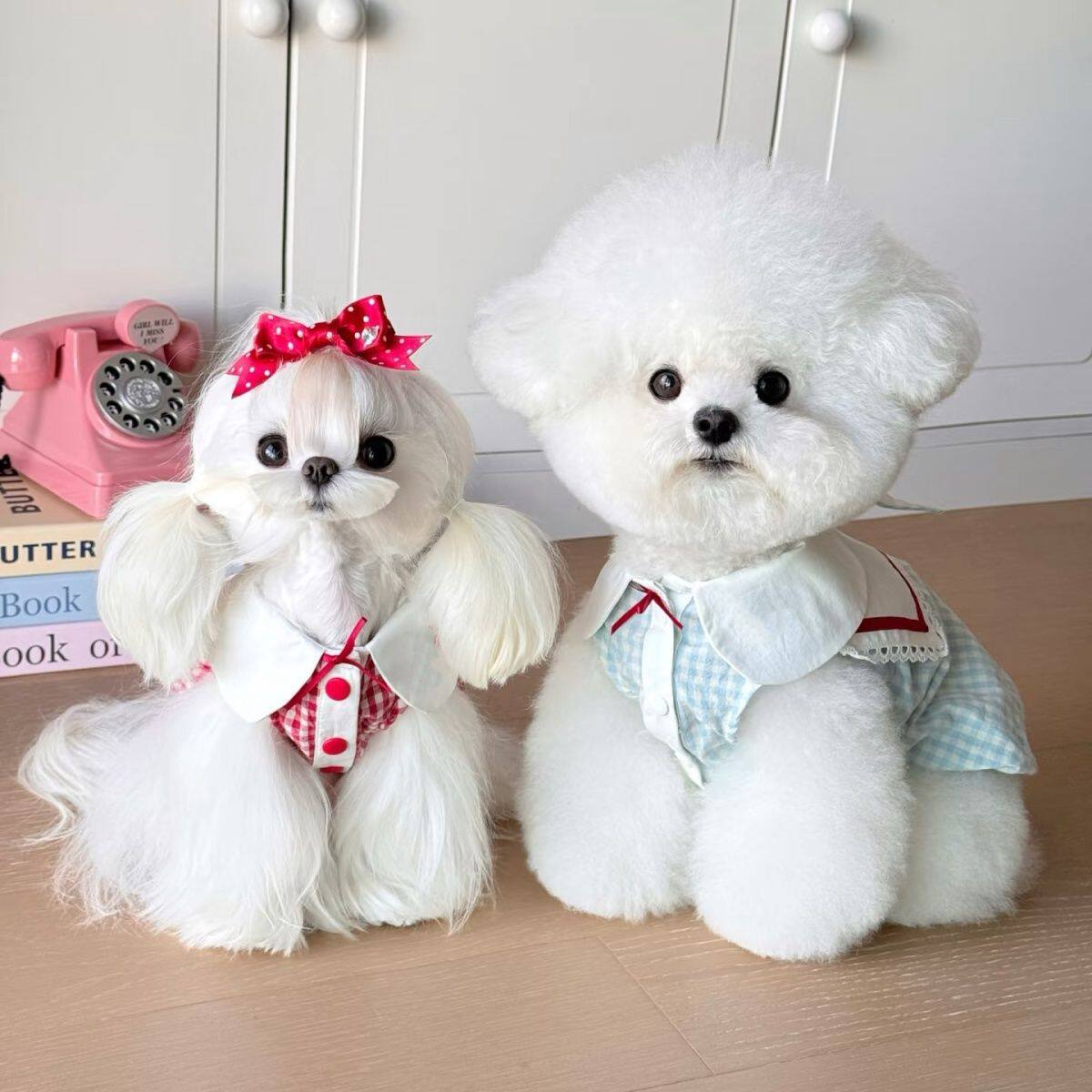 法国JoyPaw狗狗宠物衣服新款格子比熊春夏泰迪小型南瓜裙薄款