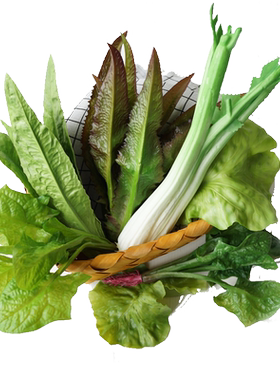 西芹lmdec蔬果饭店厨房生菜叶