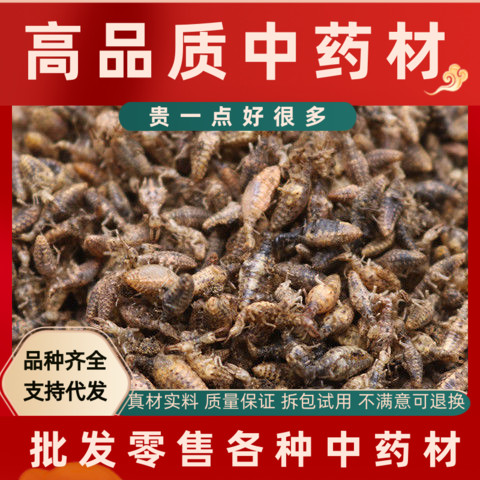 同仁堂金沙牛中药材野生蚁狮金砂牛蚂岭虫广西地牯牛沙牛虫10g克