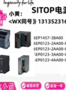 6EP14571332-13BALD0010电源 6EP0123-234AA00-0AABA0询价