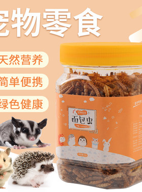 面包虫买三送一高蛋白