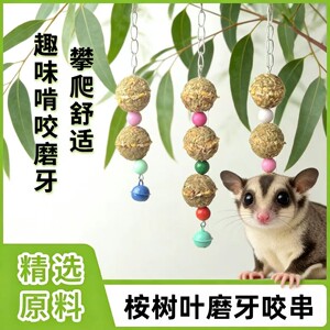蜜袋鼯桉树磨牙咬串悬挂玩具