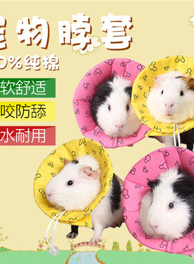 仓鼠松鼠龙猫荷兰猪兔子防咬伊丽莎白项圈  治疗皮肤病防舔咬用品