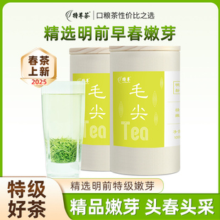 毛尖绿茶明前早春高山嫩芽茶叶精品特级100g 2025新茶 2罐特尊茶