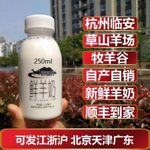 250ml杭州牧羊谷道场坪鲜羊奶现挤巴氏新鲜纯山羊奶粉非绵羊奶