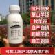 6号牧场放假250ml杭州牧羊谷道场坪鲜羊奶现挤巴氏新鲜纯山羊奶粉