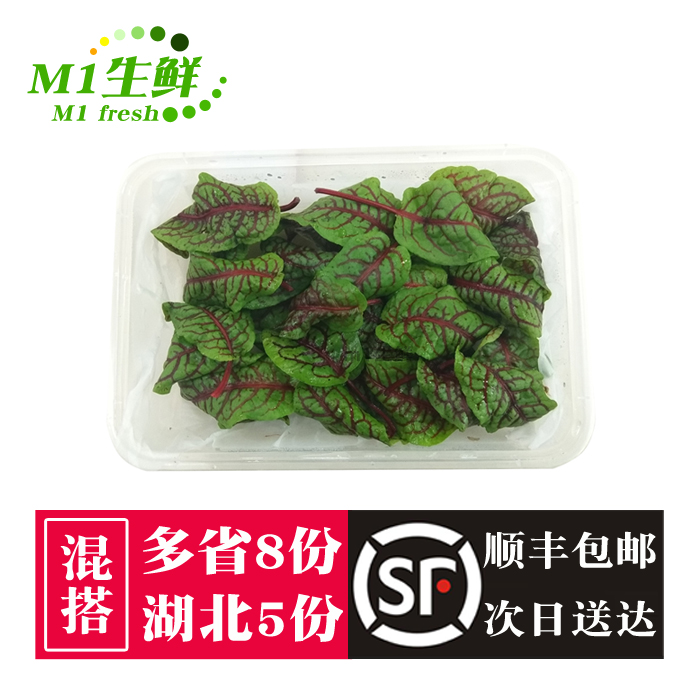 新鲜酸模叶 红酸膜草 红脉酢浆草西餐食用花酒店摆盘装饰约20片
