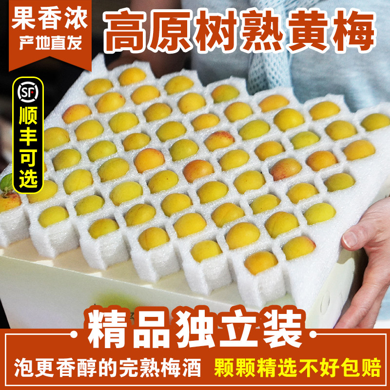 「花香黄梅」树熟黄梅新鲜散装云南完熟青梅果现摘生梅子酸胭脂梅