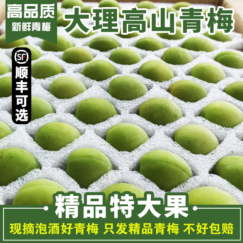 （特大果）青梅鲜果云南新鲜现摘生梅子泡酒酸梅子露酵素汁鲜水果