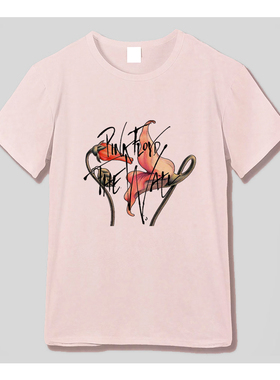 摇滚平克弗洛伊德Pink Floyd Wall迷墙海报复古柔滑浅粉宽松T恤